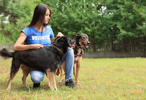 Girl with Dogs